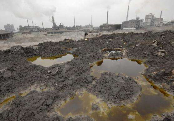 山东环境检测机构